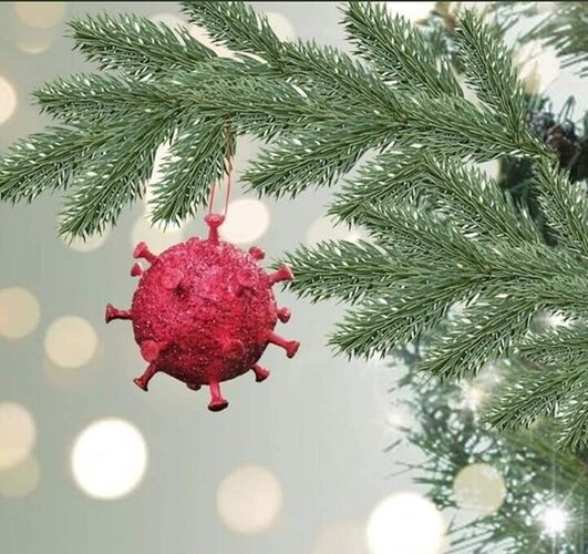 Screenshot_20211212_132755