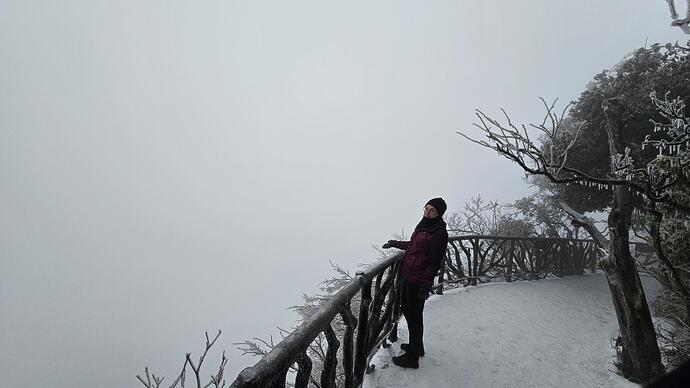 shared image (13)