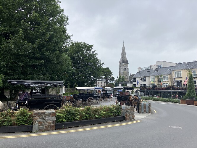 IMG_6496