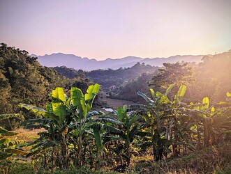 PXL_20241101_094522236