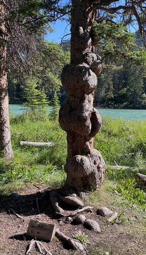 IMG_0940