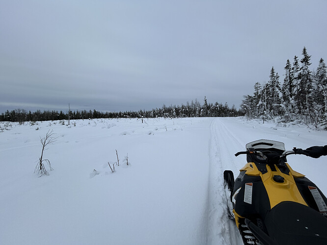 20260306_124952303_iOS