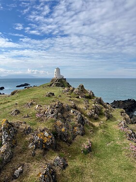 IMG_9991