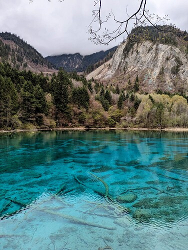 a70ddbaf-4344-4e15-8818-2ea93bb143f7-1_all_2385